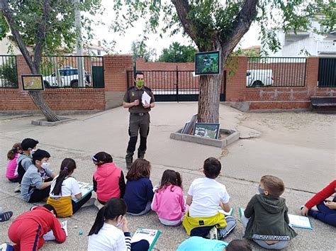 Taller Aves Toledanas Ceip San Miguel Arc Ngel Navahermosa Toledo