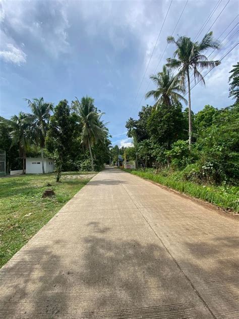 Commercial Lot For Sale At Bingag Dauis Panglao Island Bohol