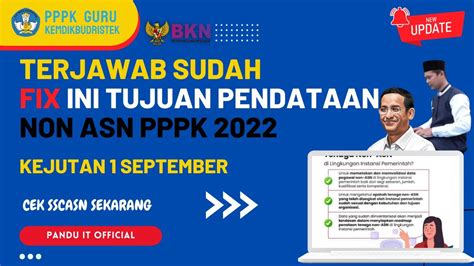 Terjawab Sudah Tujuan Pendataan Non Asn Pada Pppk Info P K Dan