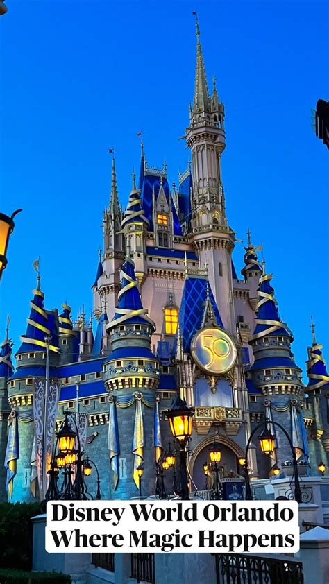 Disney world 2023 what you need to know before visiting walt disney ...