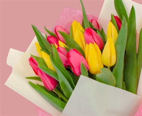 Details Picture Ramos De Tulipanes Para Regalar Abzlocal Mx