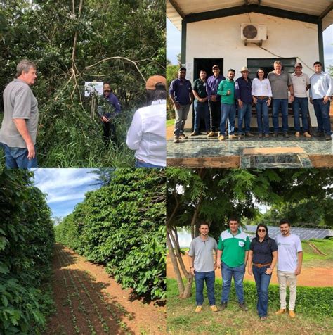 Novo Grupo De Cafeicultores Do Cerrado Mineiro Conquista O Selo