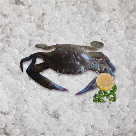 Soft Shell Crabs S Kg Buy Now The Artisan Food Company