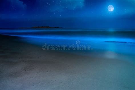 Romantic full moon beach stock photo. Image of beautiful - 139431564