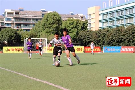 少年“足”梦！越城区小学生足球联赛冠军出炉绍兴网