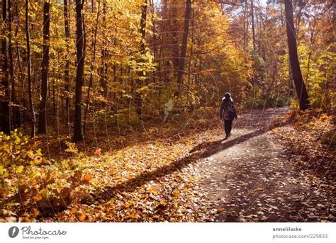 Herbstspaziergang Ein Lizenzfreies Stock Foto Von Photocase