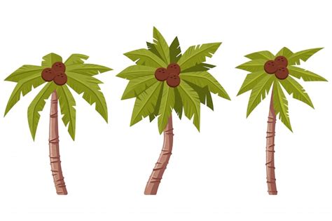 Palmera Con Hojas Y Cocos Conjunto De Dibujos Animados Aislado Sobre