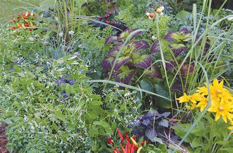 Foodscaping How To Create An Edible Landscape Joe Gardener®