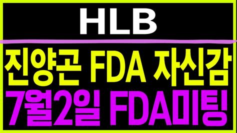 주식 Hlb 진양곤 Fda 자신감 Hlb Hlb주가 Hlb주가전망 Hlb생명과학 Hlb제약 Hlb생명과학주가 Hlb