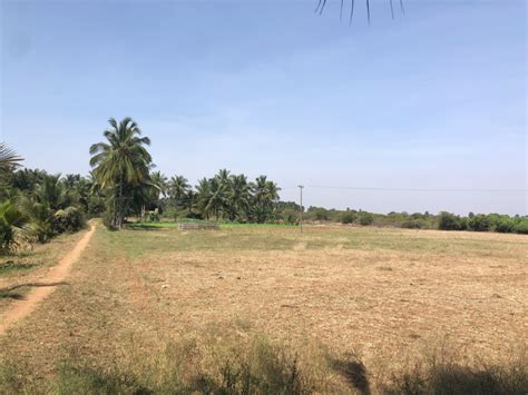 Agricultural Land Cent For Sale In Kangeyam Tirupur Rei