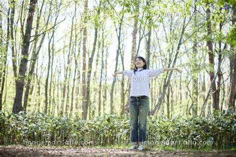 初夏の森でリラックスしながら伸びをする30代日本人女性 （人物）の写真素材 [222154217] イメージマート