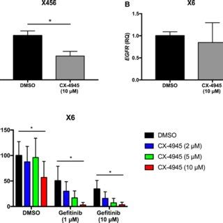 Inhibition Of CK2 Results In Decreased EGFR Expression And Combination