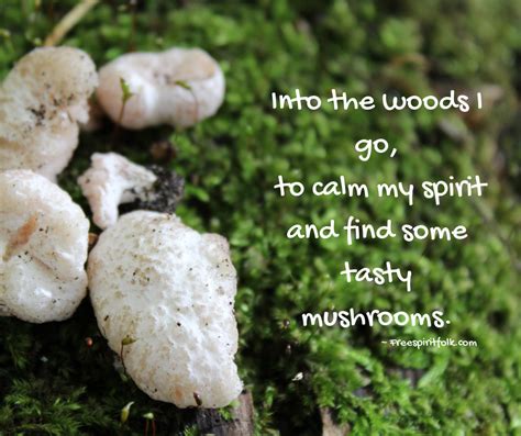 #Mushroom Hunting #Meme