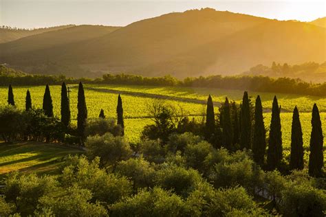 Il Grigio Gran Selezione Wines San Felice Borgo San Felice