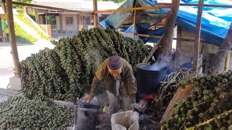 Ciri Kolang Kaling Berformalin Serta Cara Memilih Kolang Kaling Yang