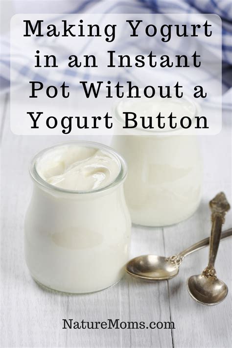 Making Yogurt In An Instant Pot Without A Yogurt Button