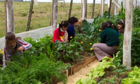 Huertas Familiares Producir Alimentos Es Lo M S Beneficioso Que Se