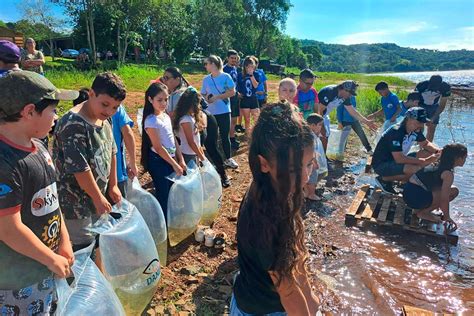 Dia Do Igua U Estado Vai Soltar Milh O De Peixes Nativos No Rio