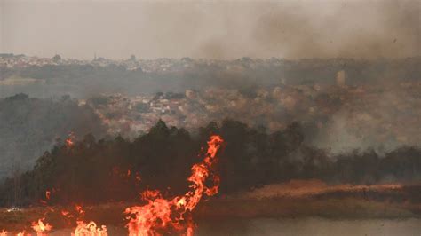 23 Pessoas Já Foram Presas Por Causarem Incêndios Florestais Em São