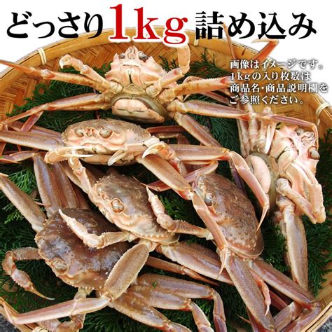 茹セコガニ 親がに 訳あり 予約11月中旬 下旬以降出荷 茹 済み 冷蔵 1kg詰め込み 5 10匹程度 足折れ混じり ズワイかにズワイガニ