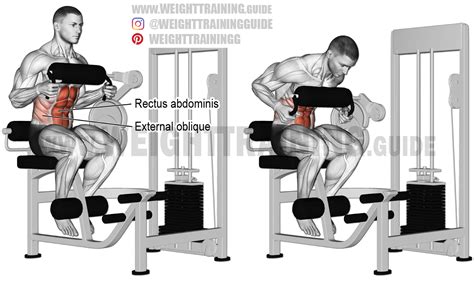 Machine seated crunch instructions and video | Weight Training Guide ...