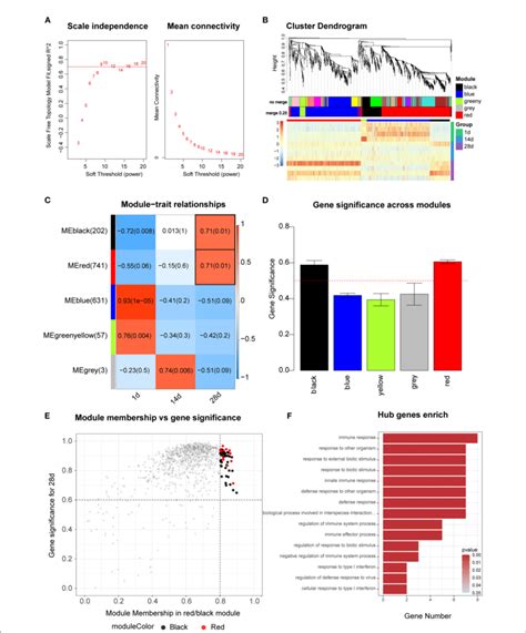 Figure Wgcna Analysis A Scale Independence And Mean Connectivity