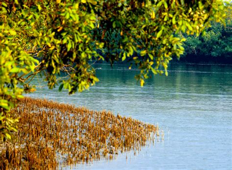 Baishal Bagerhat And Sundarbans Tour Best Tour Operator In Bangladesh