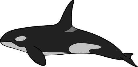 Cartoon Clipart Orca Whale Orca Whale Free Clipart Images The Best