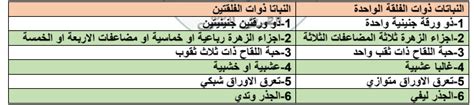 س قارن بين النباتات ذوات الفلقة الواحدة و ذوات الفلقتين موقع سطور