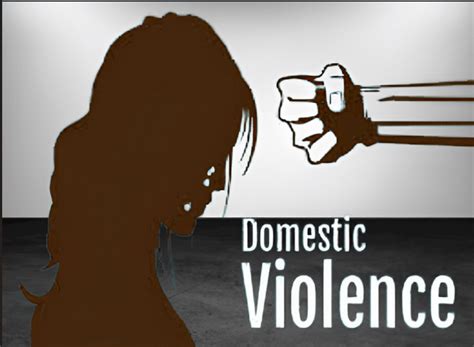 A Brief About Protection Of Women From Domestic Violence Act 2005