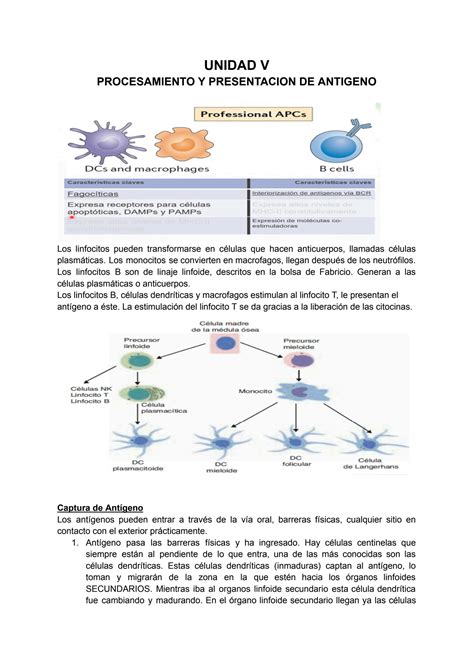 Solution Unidad V Inmuno Docx Studypool