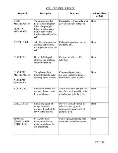 Cell Organelles And Their Functions Worksheets