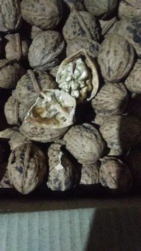 Kashmiri Walnut At Rs Kg Kashmiri Walnut In Srinagar Id