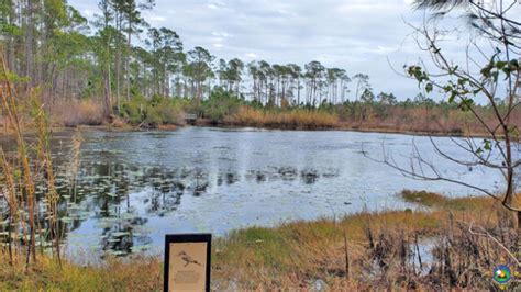 Enjoy Dauphin Island Camping on the Gulf in Alabama