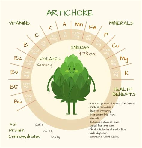 18 Different Types Of Artichokes