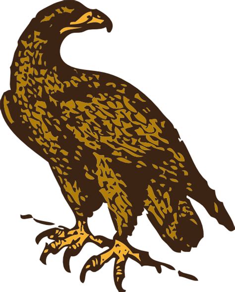 Animated Eagle Clipart Best