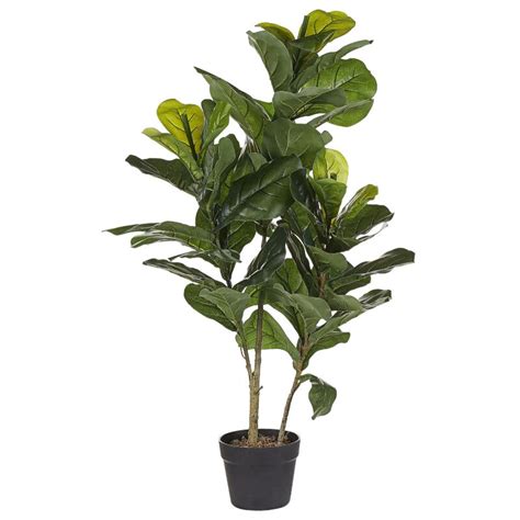 Pianta Artificiale Ficus Elastica H Cm Con Vaso Verde Giordanoshop