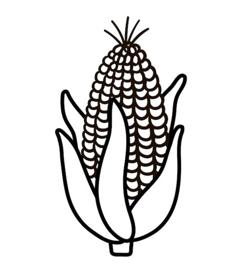 Premium Vector | Vector black and white corn cob Autumn outline vegetable Line veggie Funny ...