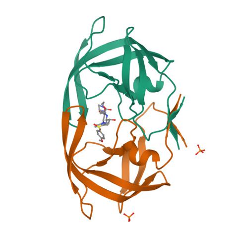 Rcsb Pdb Djq Crystal Structure Of Wild Type Hiv Protease In