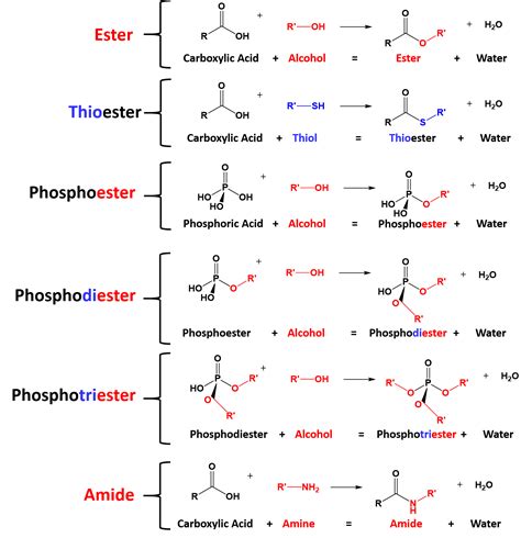 CH105 Chapter 10 Compounds With Sulfur Phosphorus And Nitrogen