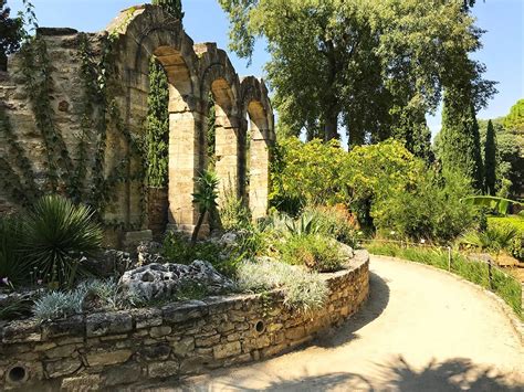 Le Jardin Des Plantes