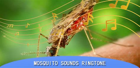 Mosquito Sounds Ringtone Android App