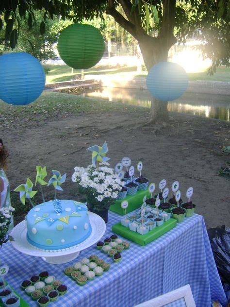 Aniversário Piquenique Menino - 7 ideias de Festa Piquenique para meninos | festa piquenique ...