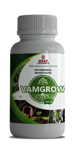 Bio Fertilizer Granules Vesicular Arbuscular Mycorrhiza VAM Root At