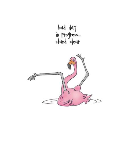 Pin By Darrell Luna On Flamingos Flamingos Quote Funny Flamingo