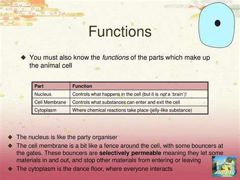 Animal Cells D Crowley Ppt Download