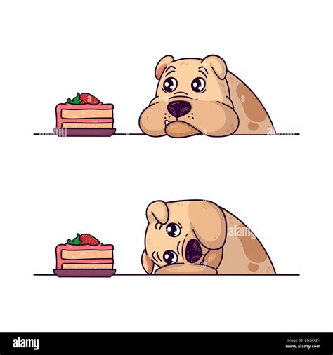 The bulldog looks at a piece of cake. Endurance training with your dog ...