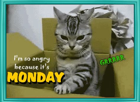 Im So Angry Because Its Monday Free Monday Blues Ecards 123 Greetings