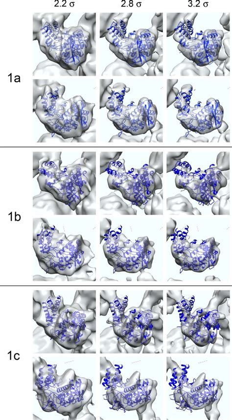 Structural Insights Into Influenza A Virus Ribonucleoproteins Reveal A