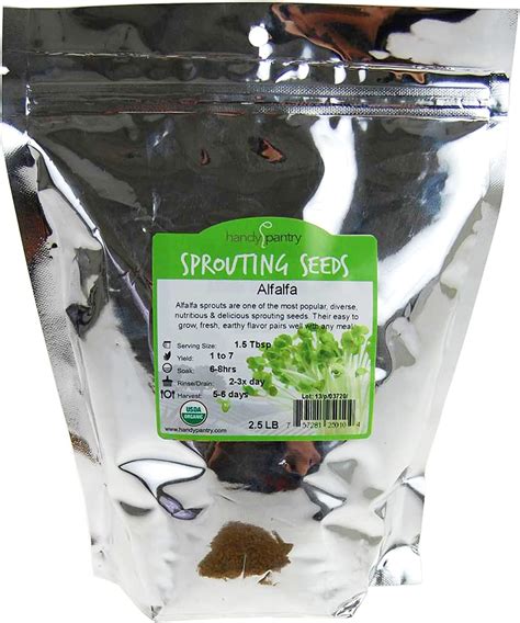 Amazon Alfalfa Sprouting Organic Great Heirloom Vegetable By Seed